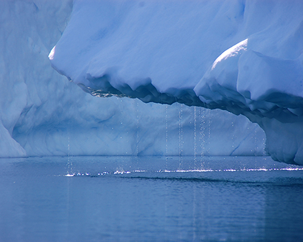 Rapport spécial du Conseil mondial du climat